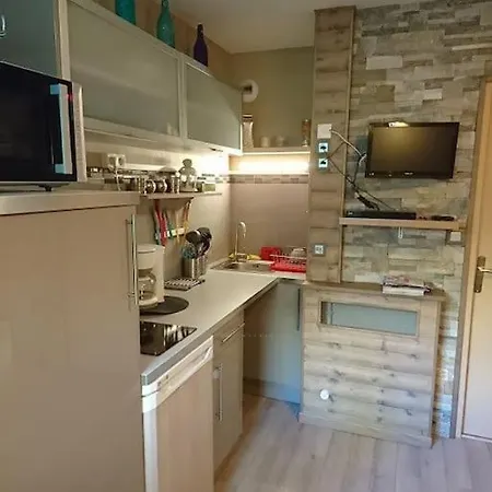 Le Diamant 1 App R 12 Les Deux Alpes